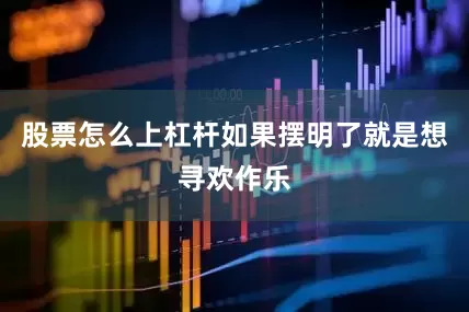股票怎么上杠杆如果摆明了就是想寻欢作乐