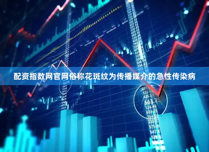 配资指数网官网俗称花斑纹为传播媒介的急性传染病