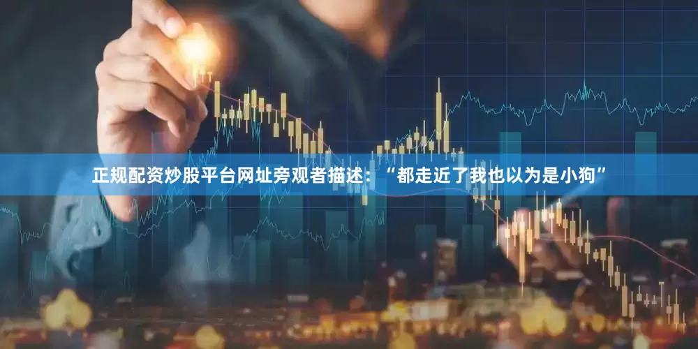 正规配资炒股平台网址旁观者描述：“都走近了我也以为是小狗”